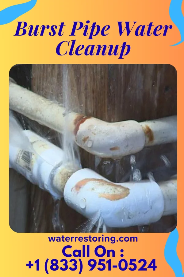 Burst Pipe Water Cleanup in Newtown Grant, PA