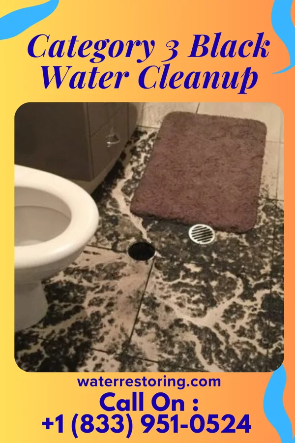 Category 3 Black Water Cleanup in Newtown Grant, PA