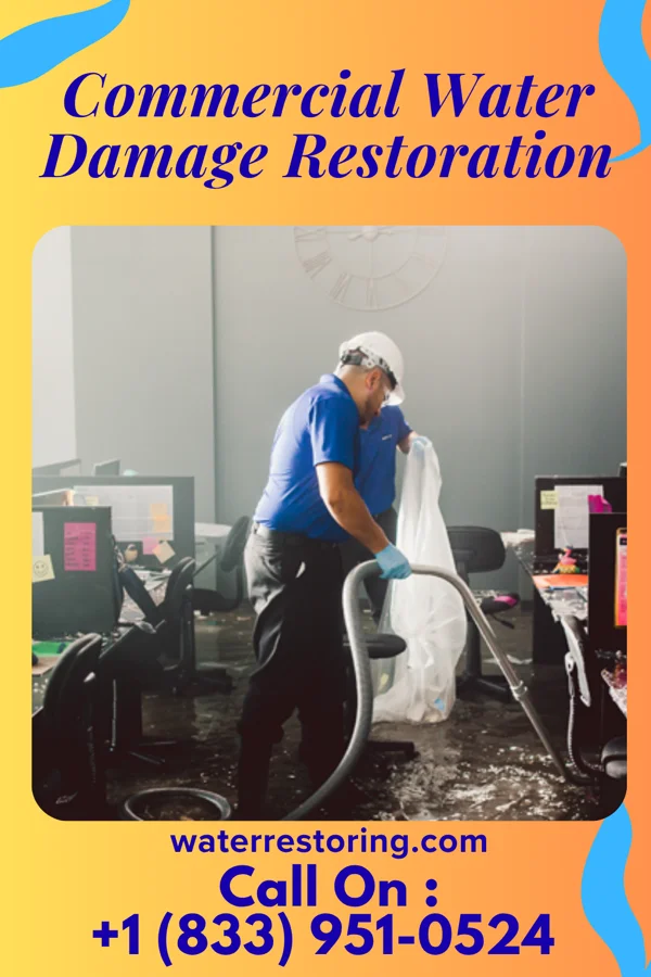Commercial Water Damage Restoration in Newtown Grant, PA