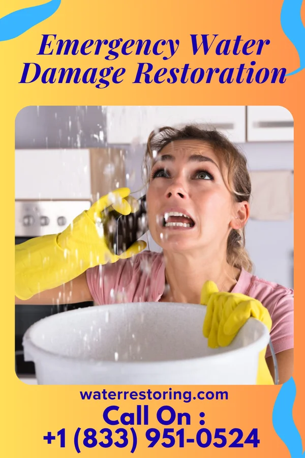 Emergency Water Damage Restoration in Newtown Grant, PA