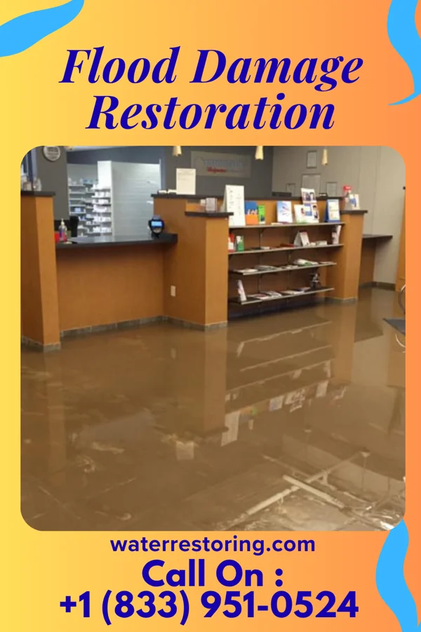 Flood Damage Restoration in Newtown Grant, PA
