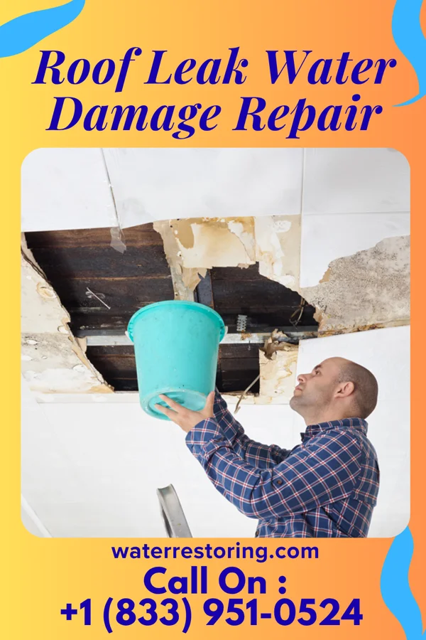Roof Leak Water Damage Repair in Newtown Grant, PA