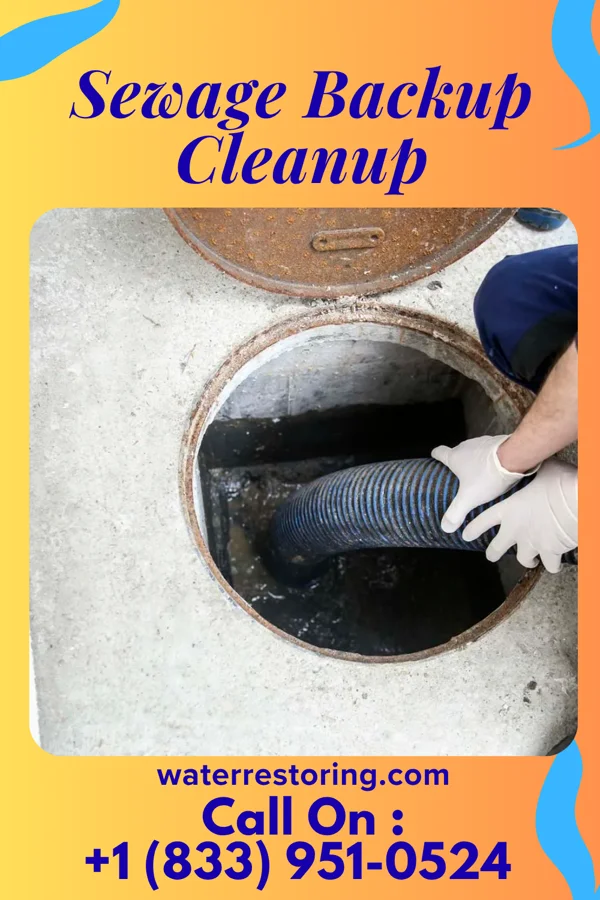 Sewage Backup Cleanup in Newtown Grant, PA