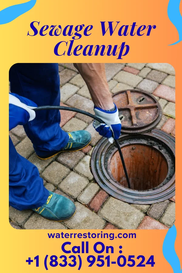 Sewage Water Cleanup in Newtown Grant, PA