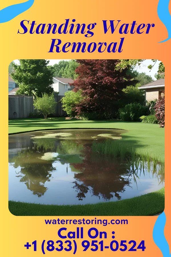 Standing Water Removal in Newtown Grant, PA